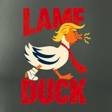 Donald Trump minimalistická kachna