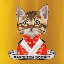 Napoleon domáci mačka