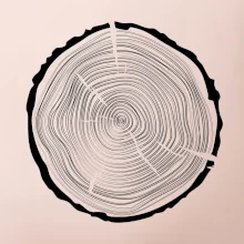 Letokruhy 50 bez veku