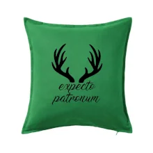 Harry - Expecto patronum Harry - Expecto patronum