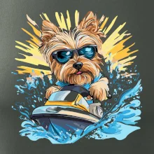 Yorkšírsky teriér na vodnom skútri