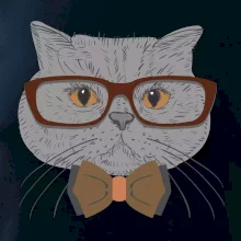 Hipster britská modrá