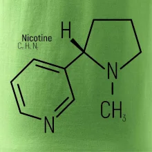 Molekulárna štruktúra Nikotín