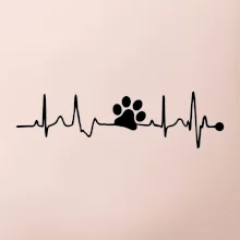 Ekg psia labka Ekg psia labka