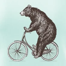 Medveď na bicykli
