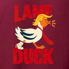 Donald Trump minimalistická kachna