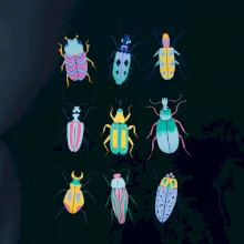 Farebné chrobáky (studio-arte.cz)