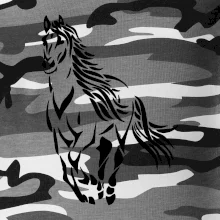 Kôň bežiaci Kôň bežiaci