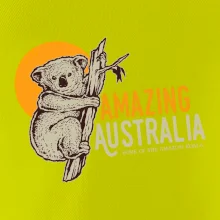Amazing Australia koala