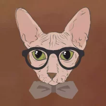 Hipster sphynx