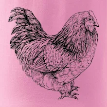 Sliepka čiernobiela