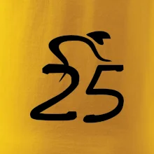 Cyklista oslavuje dvadsaťpäťku (25)