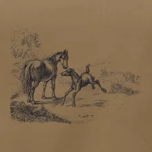 Kôň a žriebä maľované