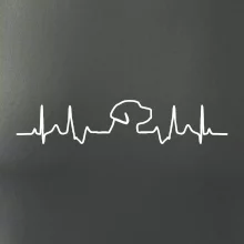 Labradorský retriever‎ EKG