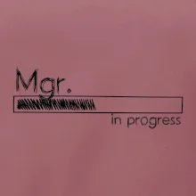 In progress titul Mgr. magister / magistra