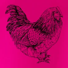 Sliepka čiernobiela