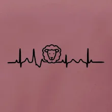 Ekg ovce