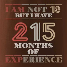 18 years 215 months of experience