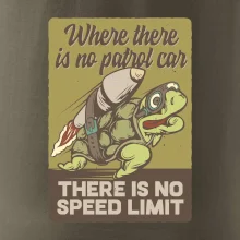 Korytnačka na cestách