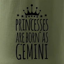 Princesses are born as Gemini - Blíženci