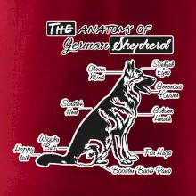 Nemecký ovčiak - Anatómia Nemecký ovčiak - Anatómia