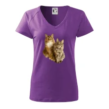 Mačky vectorizované (Moňas)