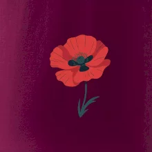 Vlčí mak kreslený veľký