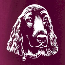 Kokeršpaniel - hlava kreslená