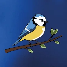 Sýkorka modrinka na vetve