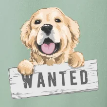 Zlatý retriever - šteniatko wanted