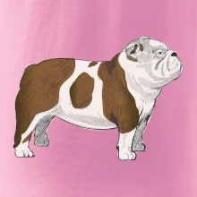 Vintage English bulldog