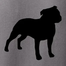 Americký stafordšírsky teriér Na prsníku