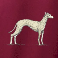 Vintage Whippet