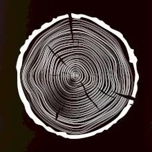 Letokruhy 50 bez veku