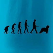 Evolúcia pes Briard