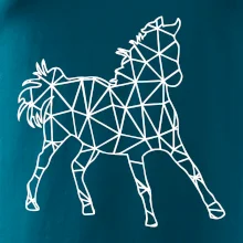 Geometria - kôň Geometria - kôň