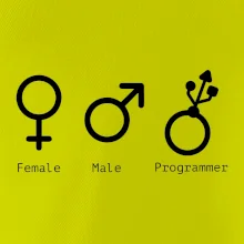 Female male programmer