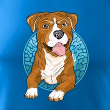 Americký staford kreslený v koliesku (Pecka design)