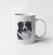 Border kólia vodová farba