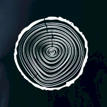 Letokruhy 20 bez veku