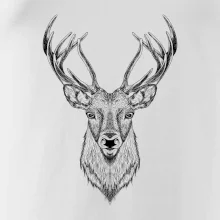 Jeleň kresba