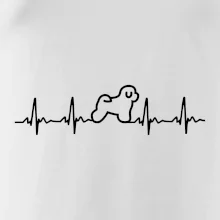 Bišónik ekg Bišónik ekg