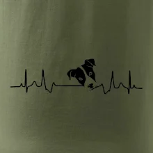 Jack Russell Terriér Ekg Jack Russell Terriér Ekg