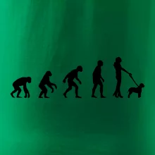 Lagotto romagnolo Evolúcia