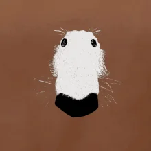 Barzoj čumák (Moňas)