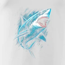 Obrázok žralok v akcii