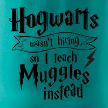 Harry - Hogwarts wasn’t hiring, so I teach Muggles instead