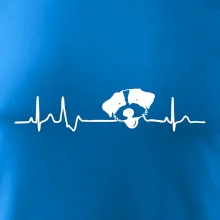 Jack Russell Teriér hrubosrstý Ekg