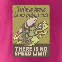 Korytnačka na cestách