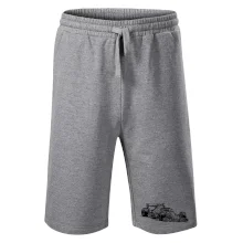 Formula v závode Formula v závode